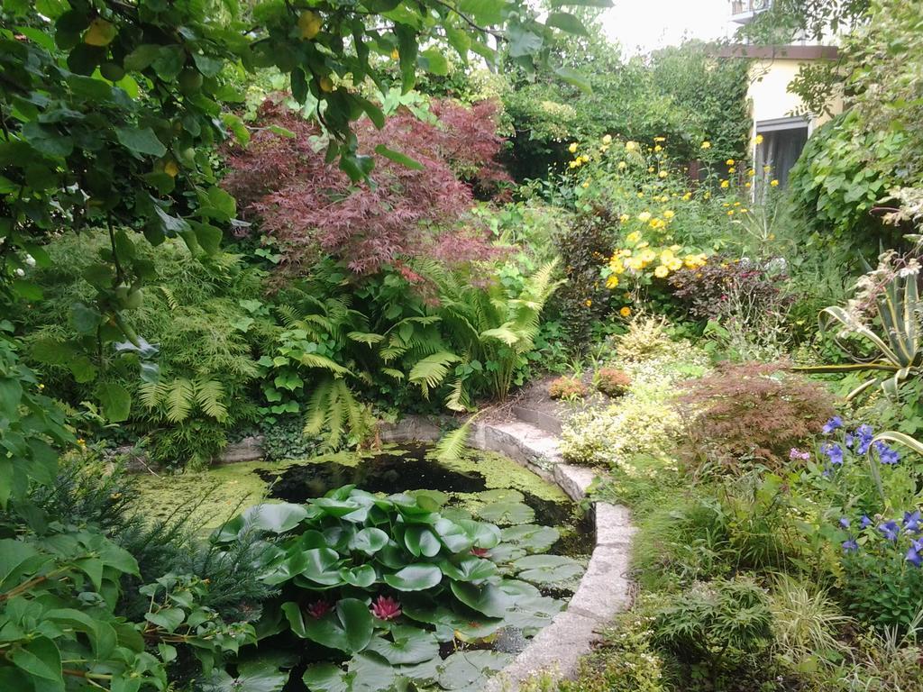 Gartenhaus Steffie Potsdam Eksteriør billede